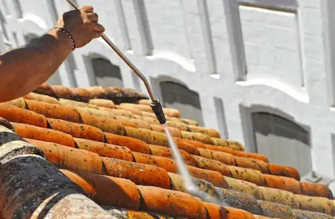 Nettoyage de toitures - Prunet